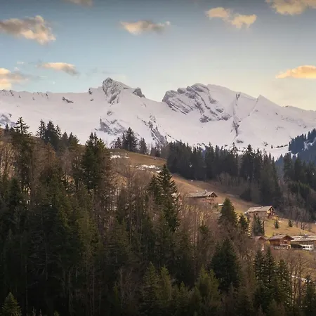 Ours Rouge - Ovo Network Le Grand-Bornand